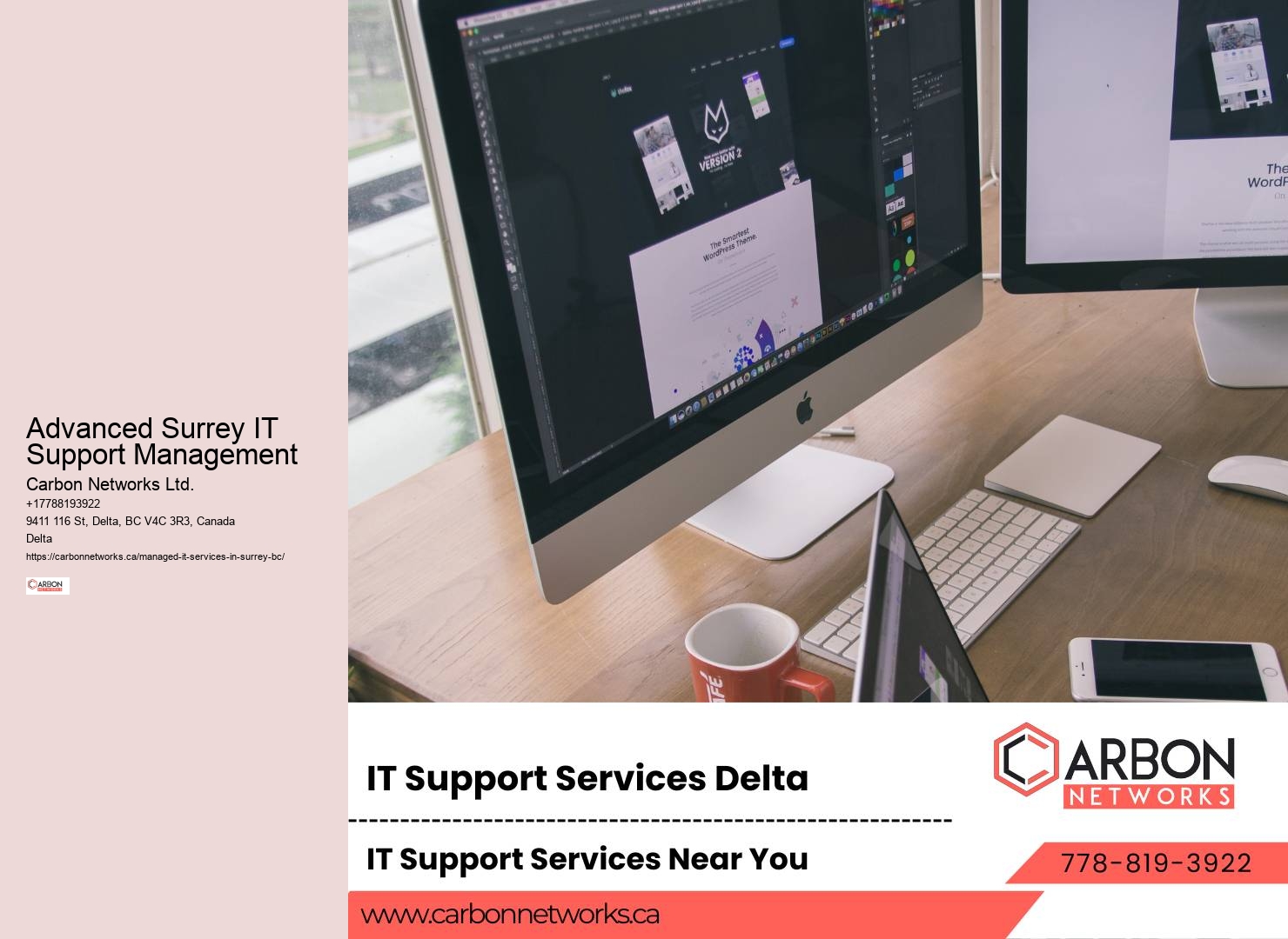Surrey IT project optimization