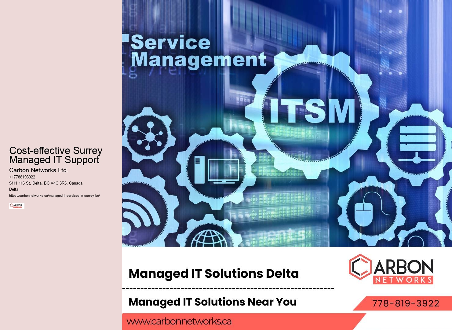 Managed IT Services Customized for Surrey