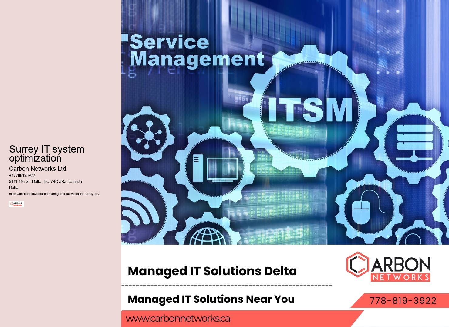 Surrey's Proven IT Support and Management