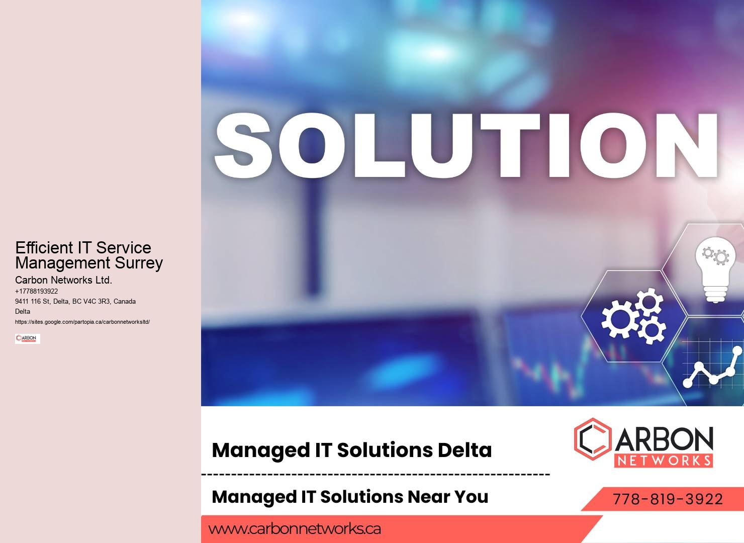 Surrey's Premier IT Management Services